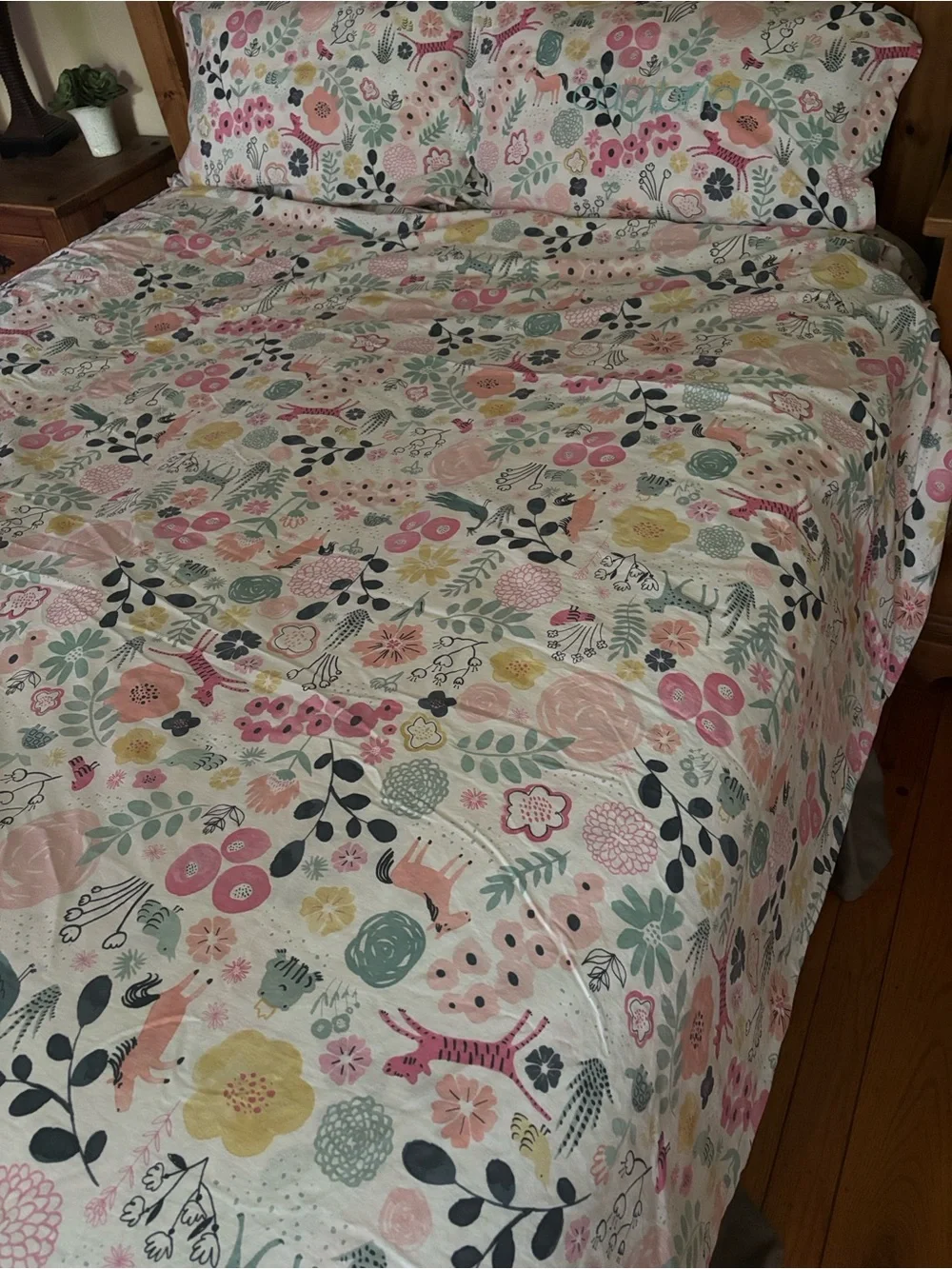 Pottery Barn Sasha’s Garden Organic Cotton Duvet Cover & 2 Shams Full/Queen